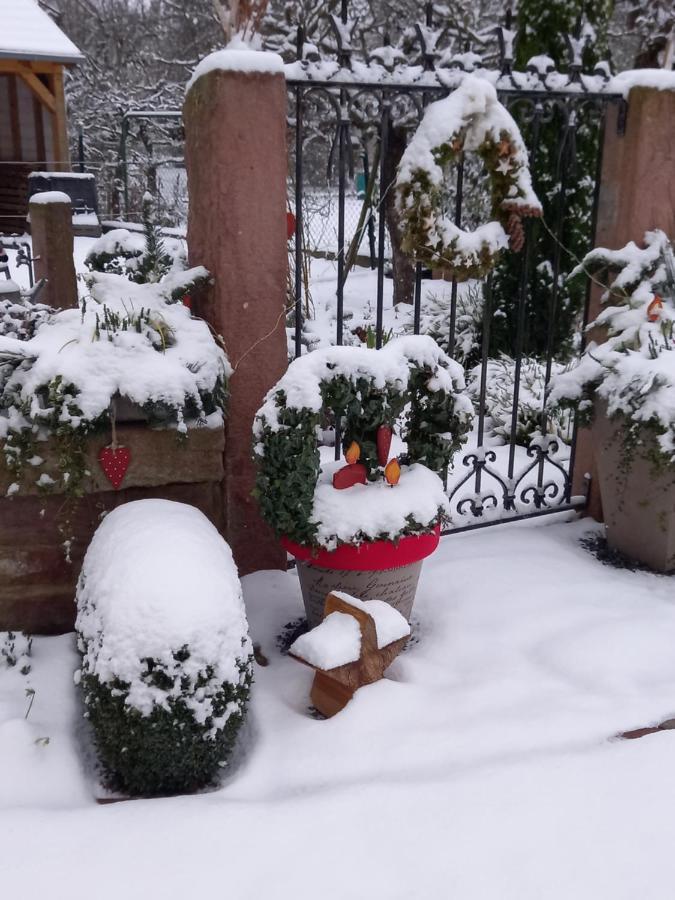 L'Alcove Des P'Tits Coeurs Villa Benfeld Exterior photo